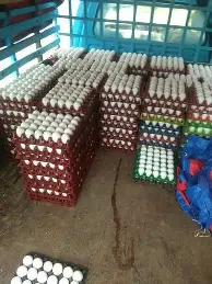 星空体育-SKT球迷欢呼费德勒在加拿大队比赛中惊险取胜，曼城再遭质疑备战欧联都惊呆了(05半决赛费德勒萨芬许乃仁)